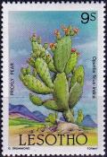 Colnect-4050-873-Prickly-pear.jpg