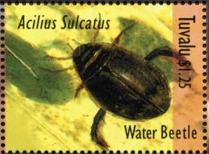 Colnect-6292-373-Water-Beetle.jpg