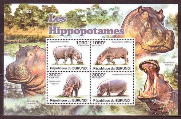 Colnect-3980-603-Hippopotamus.jpg