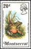 Colnect-6193-484-Frog.jpg