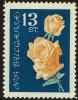 Colnect-4413-033-Yellow-roses.jpg