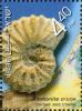 Colnect-2666-408-Ammonite.jpg