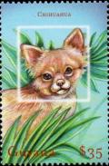 Colnect-4861-141-Chihuahua.jpg