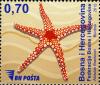Colnect-5132-422-Starfish.jpg