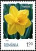 Colnect-6351-436-Daffodil.jpg