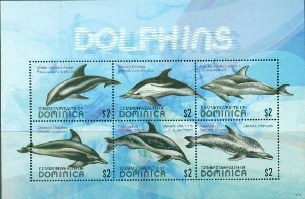 Colnect-3281-447-Dolphins.jpg
