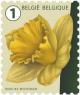 Colnect-3601-444-Daffodil.jpg