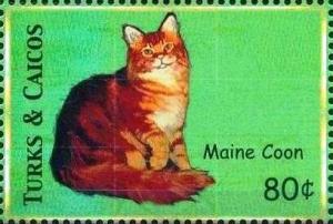 Colnect-5767-945-Maine-coon.jpg