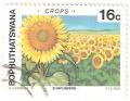 Colnect-2787-947-Sunflowers.jpg
