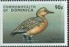 Colnect-3226-489-Red-knot.jpg