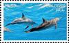 Colnect-4258-491-Dolphins.jpg