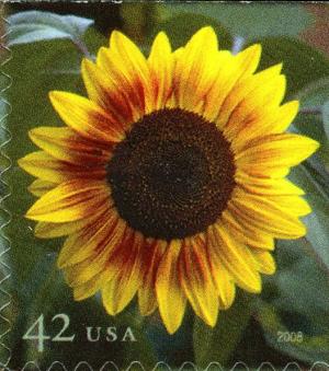 Colnect-898-449-Sunflower.jpg