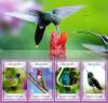 Colnect-3756-994-Hummingbirds.jpg