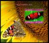 Colnect-6335-434-Butterflies.jpg