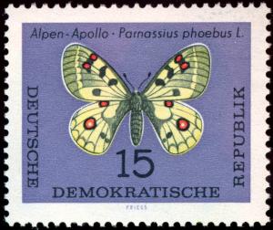 DDR-1964-004.jpg