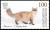 Colnect-5684-934-Siberian-Cat.jpg