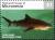 Colnect-5727-264-Tiger-shark.jpg