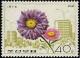 Colnect-1604-914-China-aster.jpg