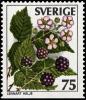 Colnect-4339-194-Blackberries.jpg