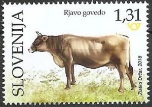 Colnect-5228-150-Brown-Cow.jpg