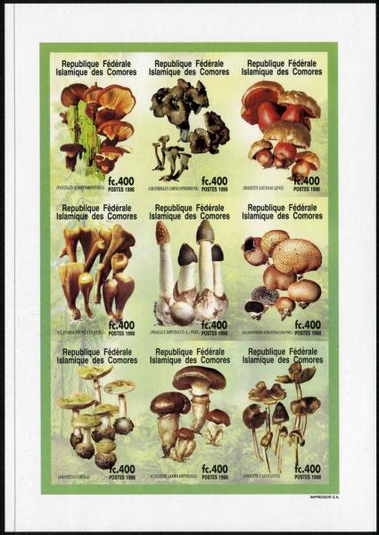 Colnect-3018-550-Mushrooms.jpg