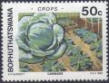 Colnect-2976-525-Cabbages.jpg
