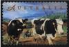 Colnect-1415-457-Dairy-Cows.jpg