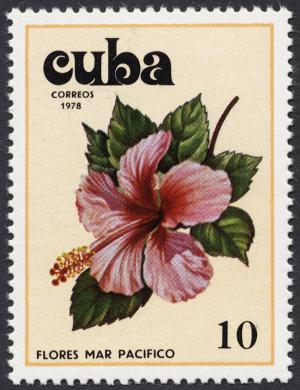 Colnect-852-457-Hibiscus.jpg