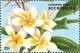 Colnect-5473-570-Plumeria.jpg