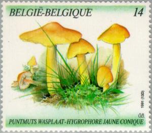Colnect-186-658-Mushrooms.jpg