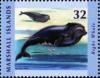 Colnect-6186-225-Right-whales.jpg