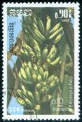 Colnect-3627-965-Bananas-Musa.jpg