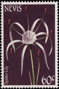 Colnect-3052-245-Spider-Lily.jpg