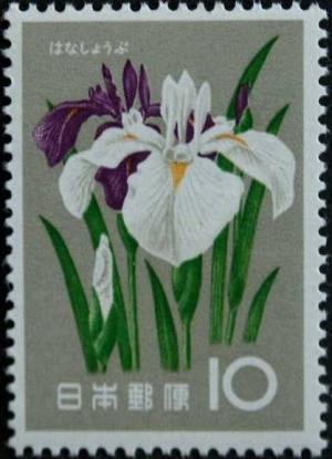 Colnect-3925-033-Iris.jpg