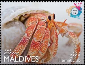 Colnect-4258-495-Hermit-crab.jpg