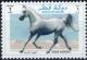 Colnect-5524-975-White-horse.jpg