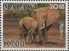 Colnect-5795-660-Elephants.jpg