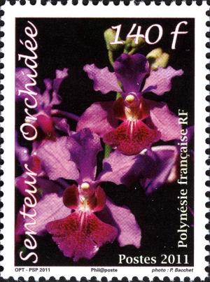 Colnect-2428-609-Orchids.jpg