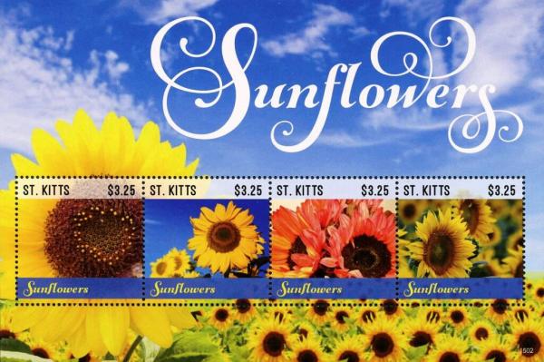 Colnect-6314-363-Sunflowers.jpg