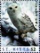 Colnect-6303-963-Snowy-owl.jpg