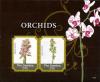 Colnect-3653-640-Orchids.jpg