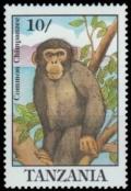 Colnect-4729-566-Chimpanzee.jpg