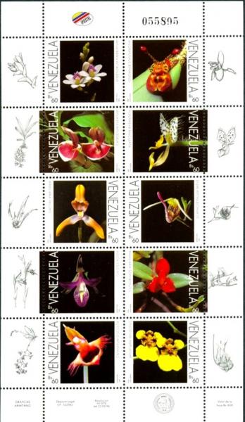 Colnect-5967-366-Orchids-V.jpg