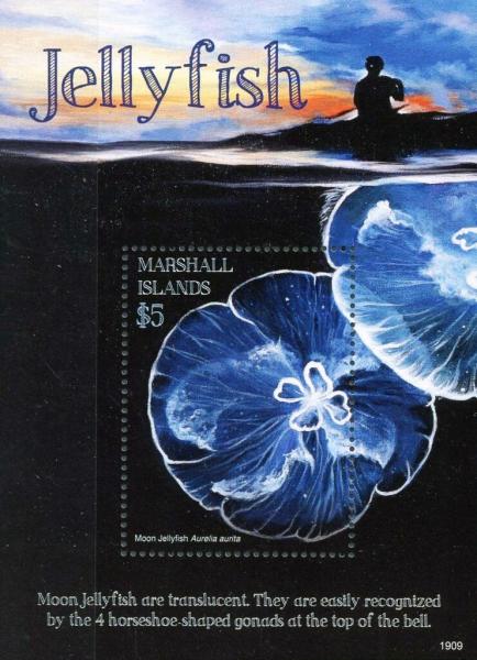 Colnect-6219-167-Jellyfish.jpg