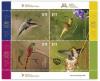 Colnect-3570-166-Hummingbirds.jpg