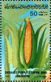 Colnect-4816-271-Corn.jpg