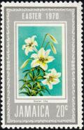 Colnect-2564-236-Easter-lily.jpg