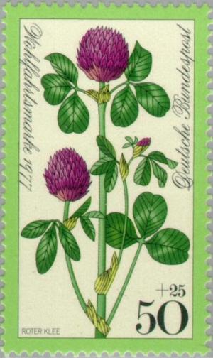 Colnect-153-096-Red-Clover.jpg