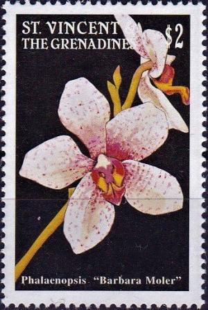 Colnect-3985-926-Phalaenopsis.jpg