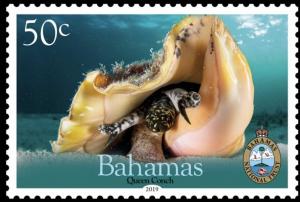 Colnect-6135-656-Queen-Conch.jpg